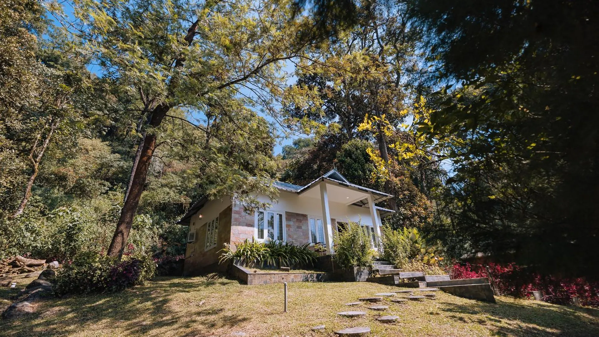 Elixir Woods Luxury Resort And Spa, Munnar