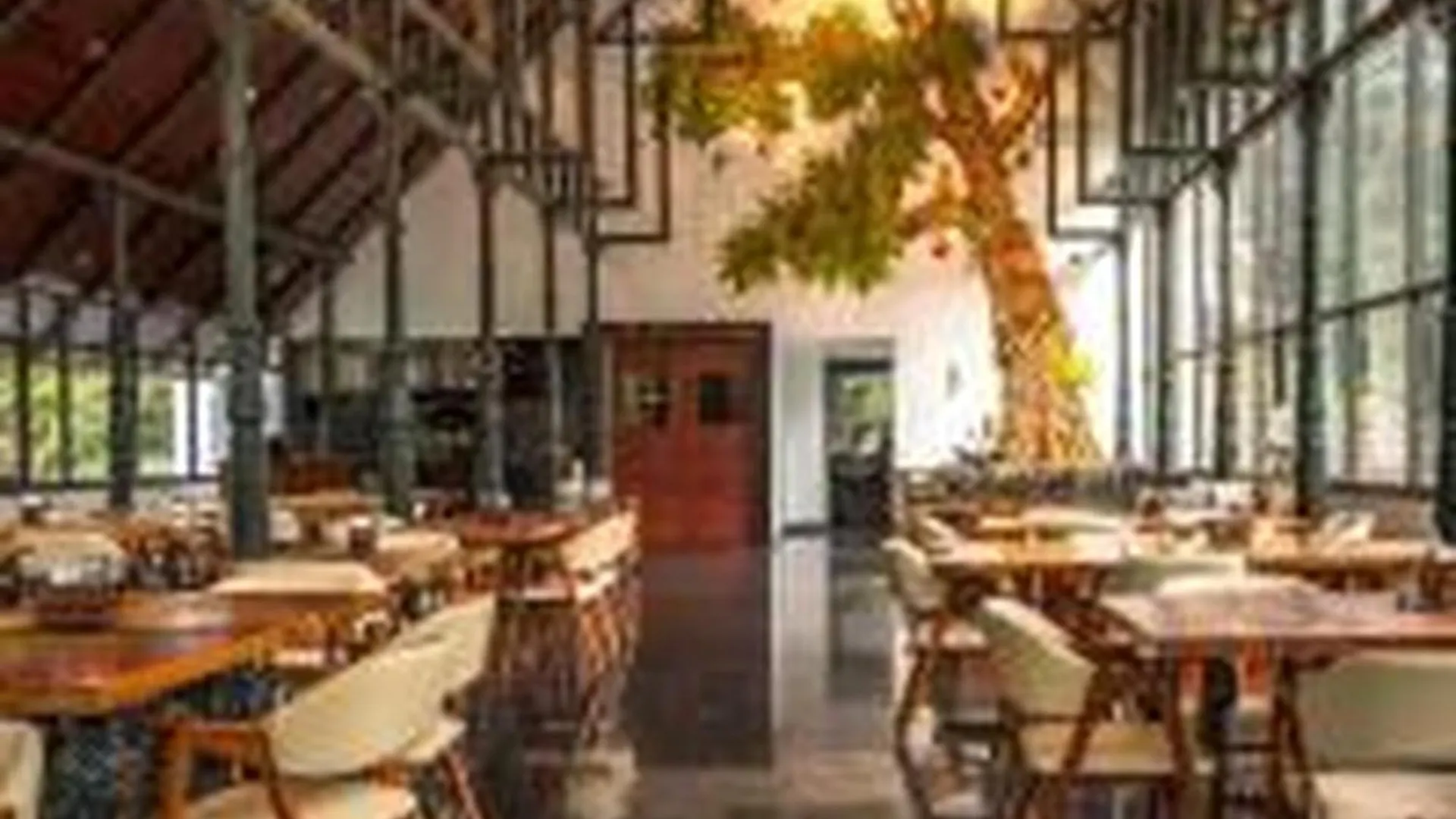 Elixir Woods Luxury Resort And Spa, مونار 4*,  الهند